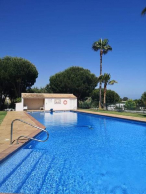 Palm Galé